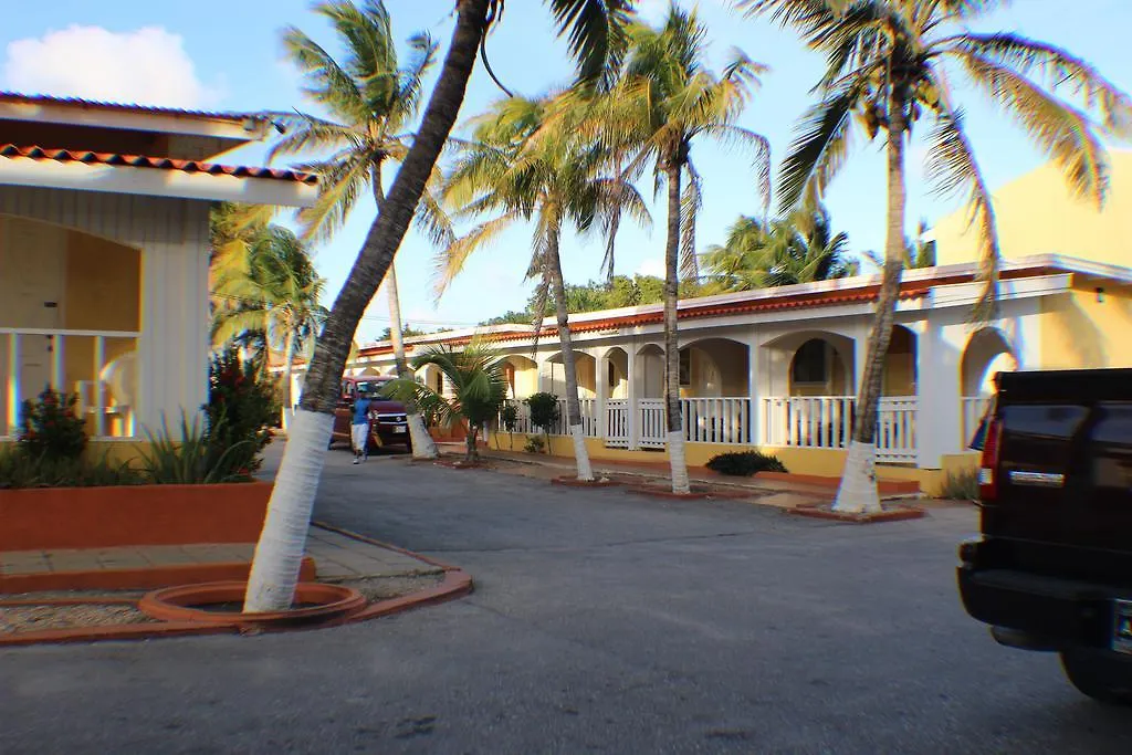 Coconut Inn Palm Beach Aruba